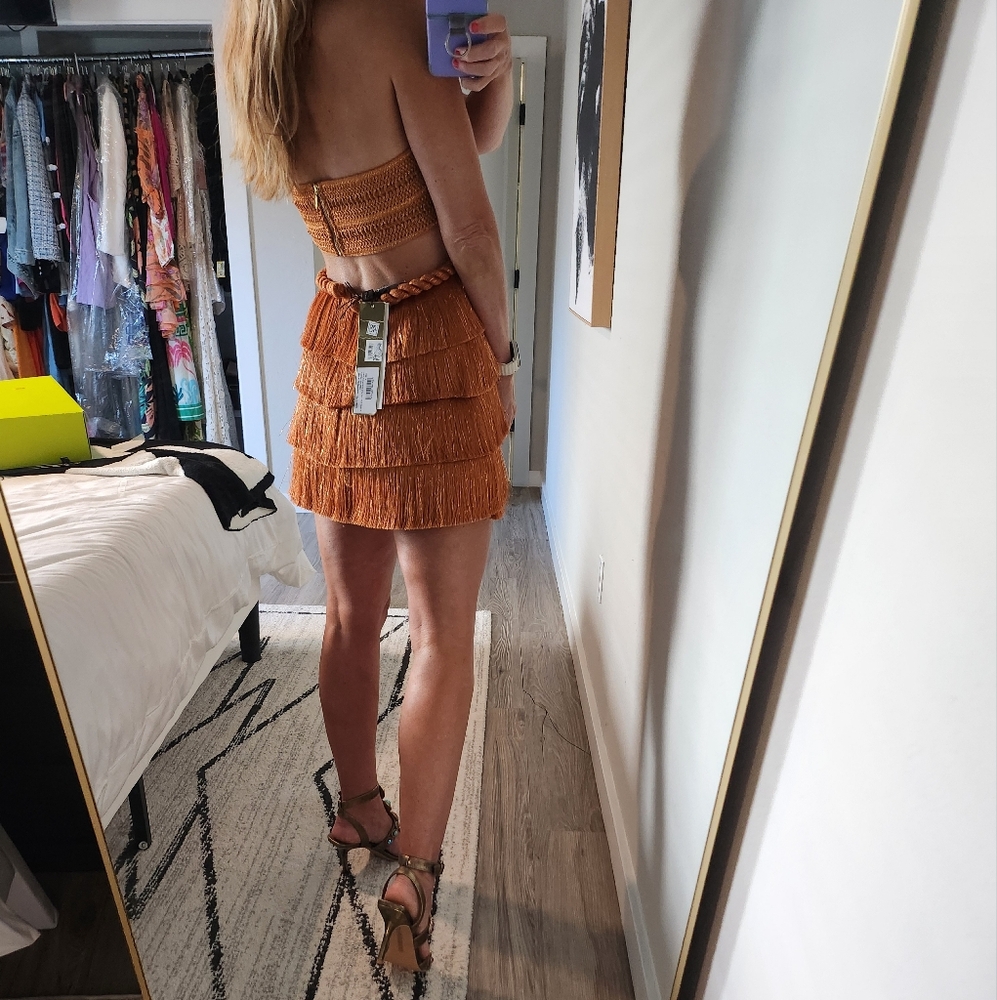 PatBO Pampas Metallic Fringe Minidress - Picture 16 of 17
